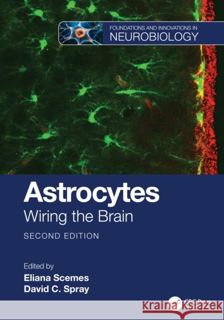 Astrocytes: Wiring the Brain