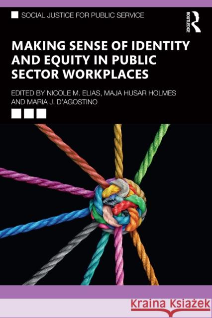 Making Sense of Identity and Equity in Public Sector Workplaces