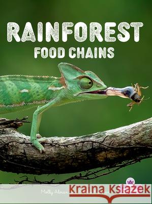 Rainforest Food Chains