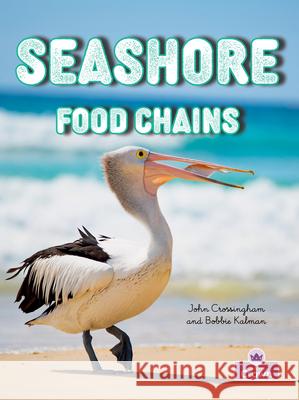 Seashore Food Chains