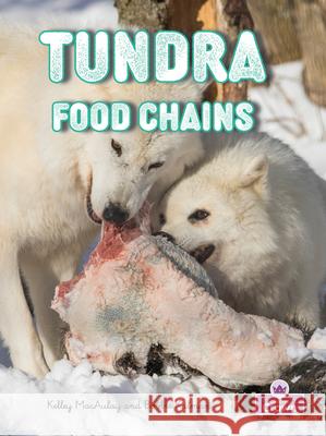Tundra Food Chains