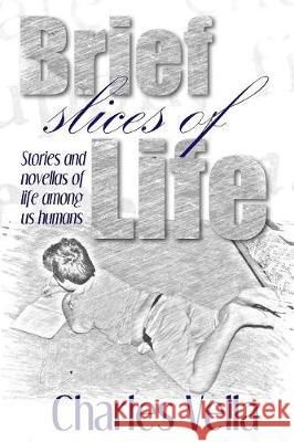 Brief Slices of LIfe: Stories and novella of life among us humans