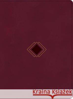 CSB Day-By-Day Chronological Bible, Burgundy Leathertouch