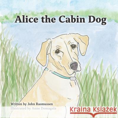 Alice the Cabin Dog