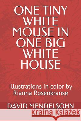 One Tiny White Mouse in One Big White House: Colored Illustrations by Rianna Rosenkranse
