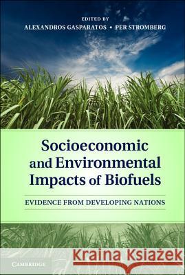 Socioeconomic and Environmental Impacts of Biofuels: Evidence from Developing Nations