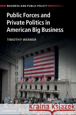 Public Forces and Private Politics in American Big Business