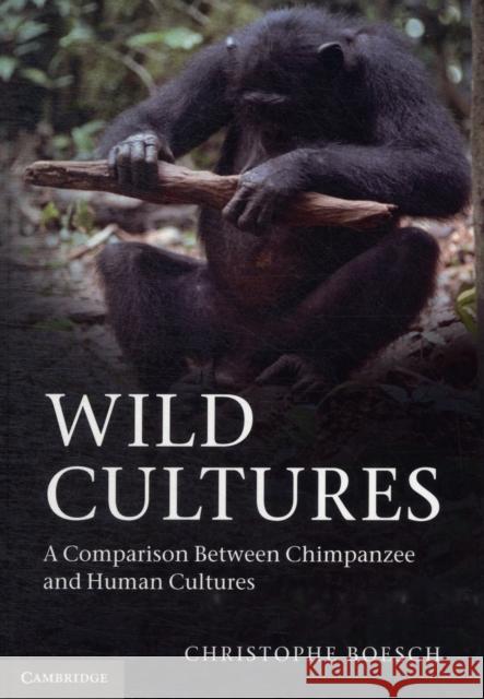 Wild Cultures: A Comparison Between Chimpanzee and Human Cultures