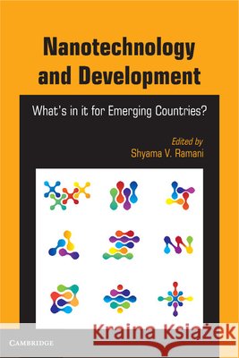 Nanotechnology and Development: What's in It for Emerging Countries?