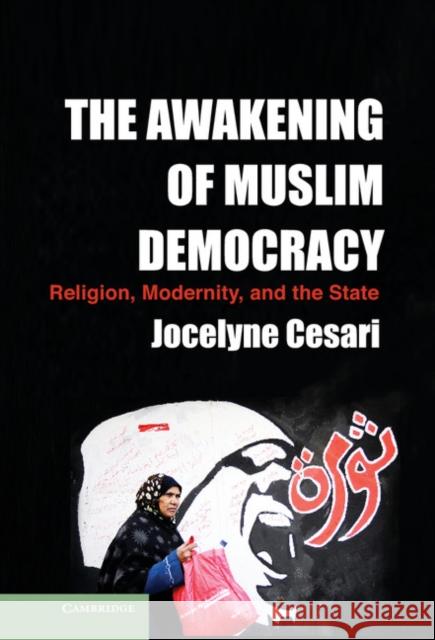 The Awakening of Muslim Democracy: Religion, Modernity, and the State