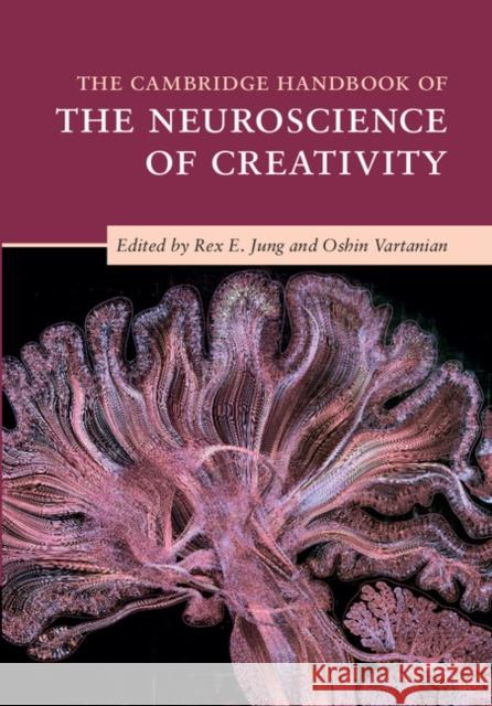 The Cambridge Handbook of the Neuroscience of Creativity