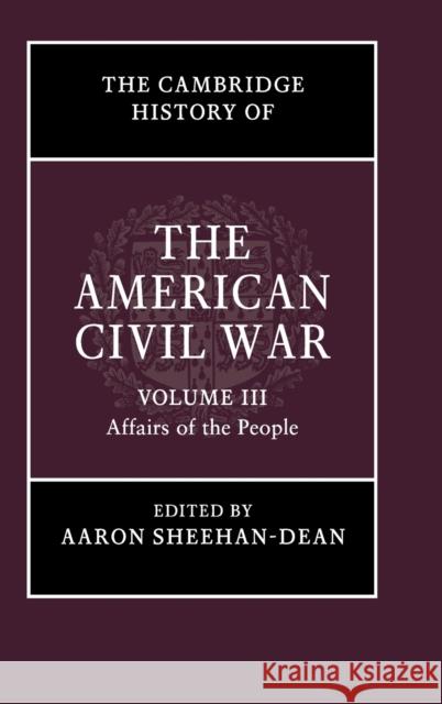 The Cambridge History of the American Civil War: Volume 3, Affairs of the People