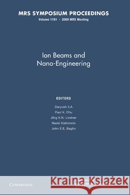 Ion Beams and Nano-Engineering: Volume 1181