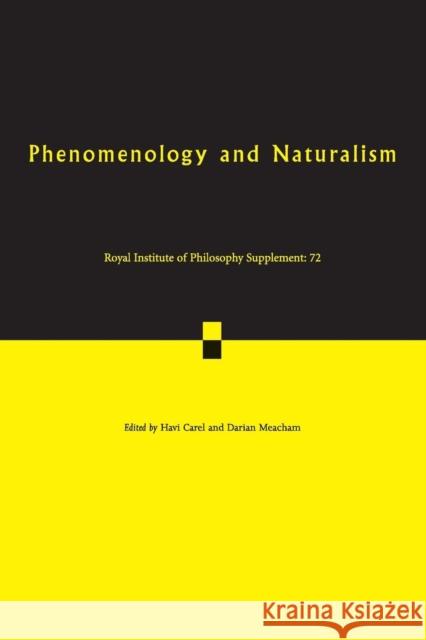 Phenomenology and Naturalism: Examining the Relationship between Human Experience and Nature