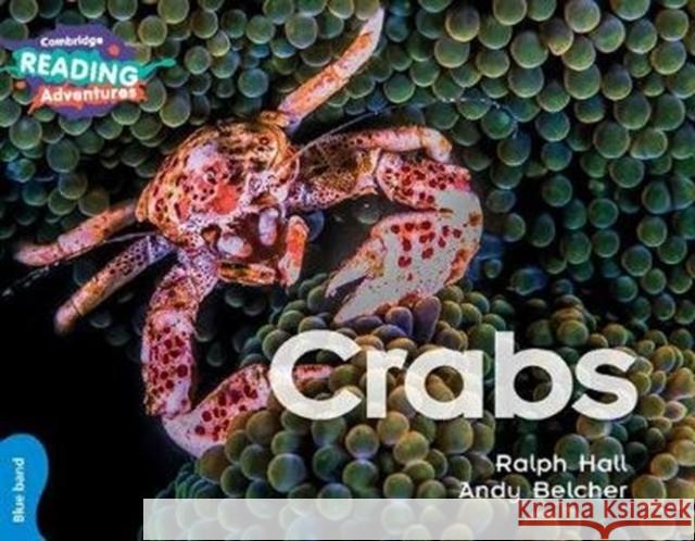 Cambridge Reading Adventures Crabs Blue Band