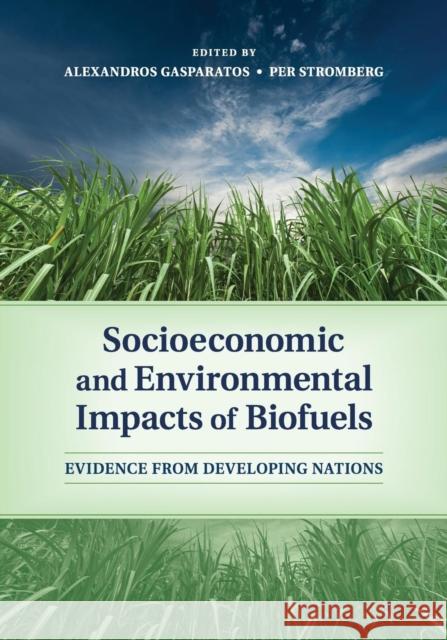 Socioeconomic and Environmental Impacts of Biofuels: Evidence from Developing Nations