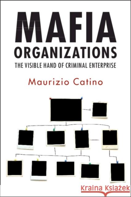 Mafia Organizations: The Visible Hand of Criminal Enterprise