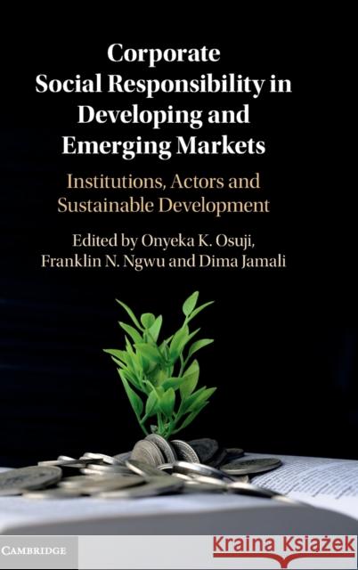 Corporate Social Responsibility in Developing and Emerging Markets: Institutions, Actors and Sustainable Development