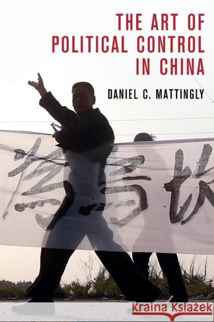 The Art of Political Control in China