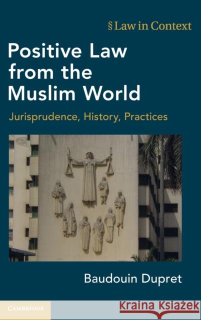 Positive Law from the Muslim World: Jurisprudence, History, Practices