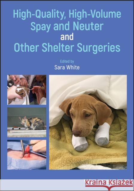 High-Quality, High-Volume Spay and Neuter and Other Shelter Surgeries