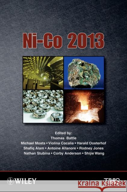 Ni-Co 2013