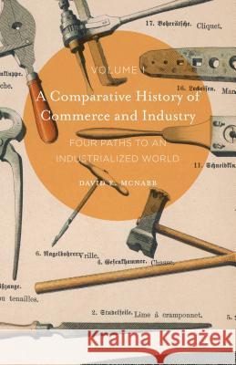 A Comparative History of Commerce and Industry, Volume I: Four Paths to an Industrialized World