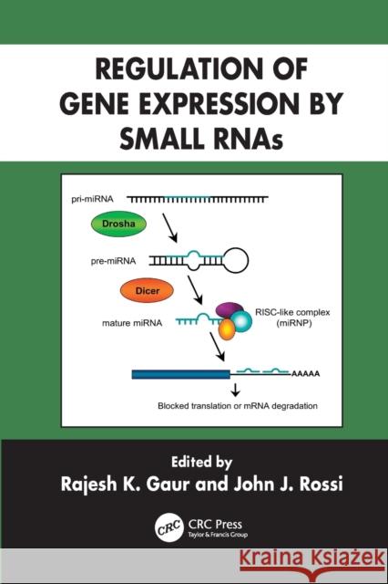 Regulation of Gene Expression by Small Rnas