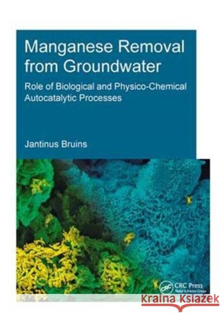 Manganese Removal from Groundwater: Role of Biological and Physico-Chemical Autocatalytic Processes