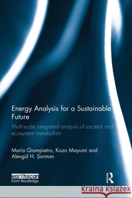 Energy Analysis for a Sustainable Future: Multi-Scale Integrated Analysis of Societal and Ecosystem Metabolism