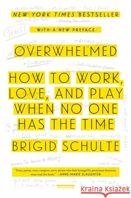 Overwhelmed: How to Work, Love, and Play When No One Has the Time