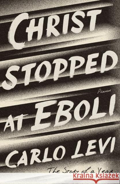 Christ Stopped at Eboli: The Story of a Year