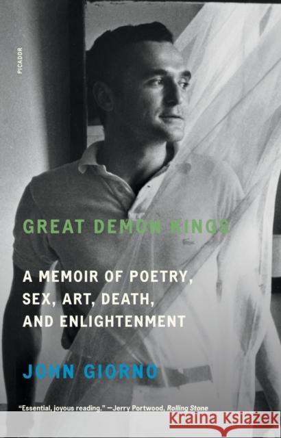 Great Demon Kings: A Memoir of Poetry, Sex, Art, Death, and Enlightenment