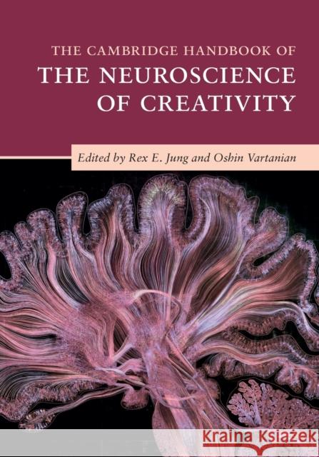 The Cambridge Handbook of the Neuroscience of Creativity