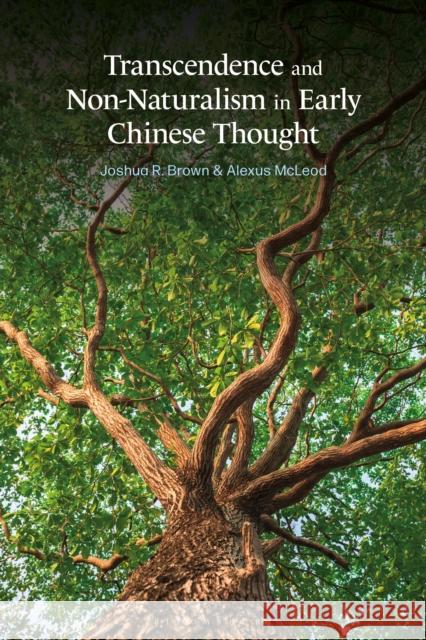 Transcendence and Non-Naturalism in Early Chinese Thought