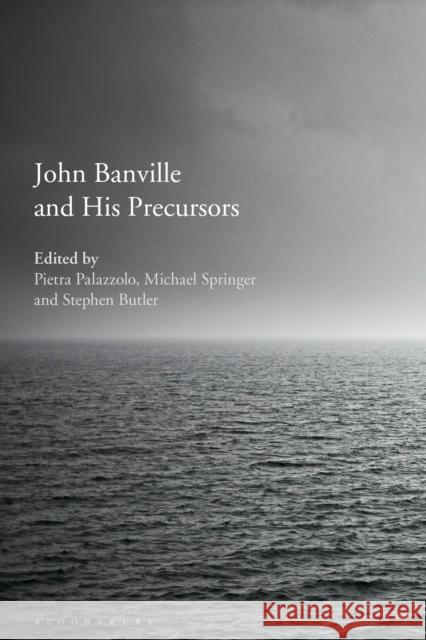 John Banville and His Precursors