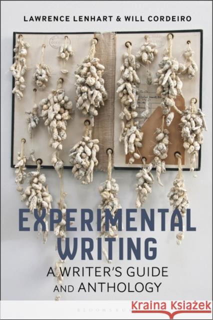 Experimental Writing: A Writer's Guide and Anthology