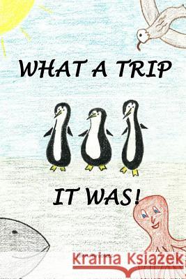 What A Trip It Was
