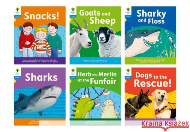 FLOPPYS PHONICS DECODABLE READERS L3 PK