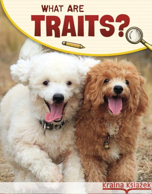 What Are Traits?
