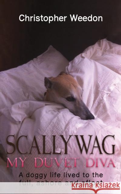 Scallywag - My Duvet Diva: A doggy life lived to the full, ashore and afloat