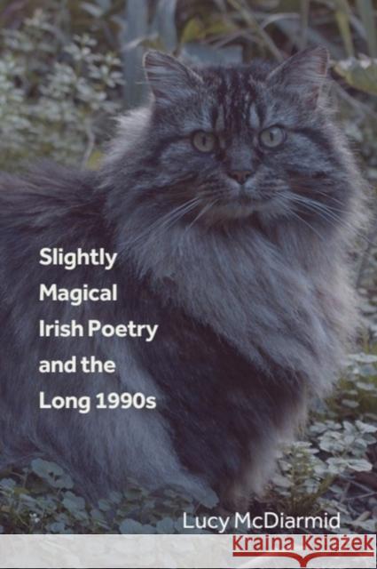 Slightly Magical Irish Poetry and the Long 1990s