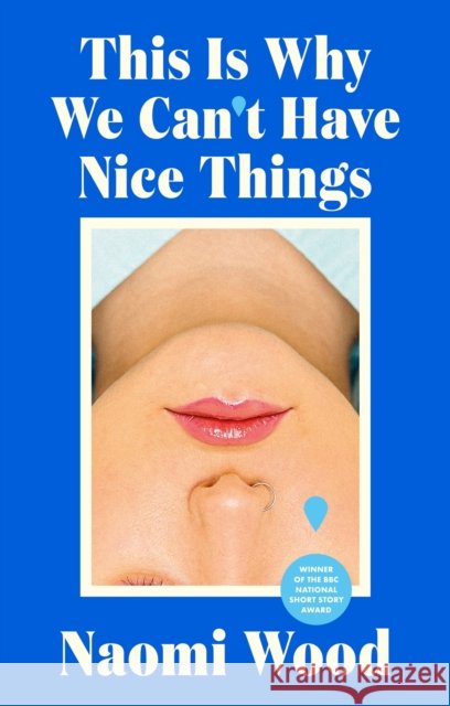 This Is Why We Can't Have Nice Things: Winner of the 2023 BBC National Short Story Award