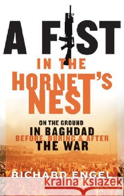 A Fist in the Hornet's Nest: On the Ground in Baghdad Before, During and After the War