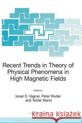 Recent Trends in Theory of Physical Phenomena in High Magnetic Fields