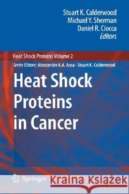 Heat Shock Proteins in Cancer