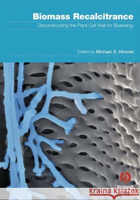 Biomass Recalcitrance: Deconstructing the Plant Cell Wall for Bioenergy