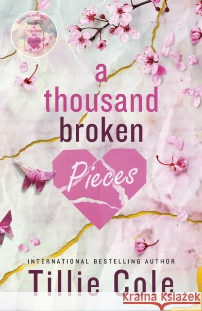 A Thousand Broken Pieces