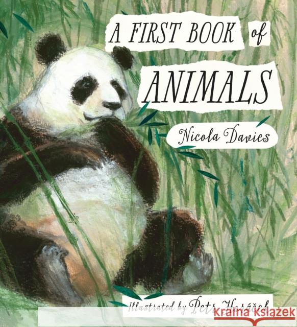 A First Book of Animals