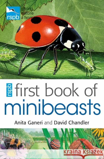 RSPB First Book Of Minibeasts